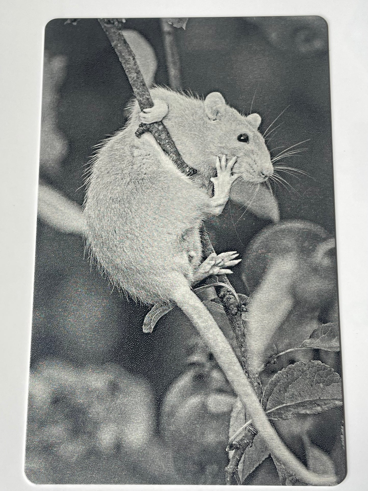 Personalised Laser Engraved Metal Cards