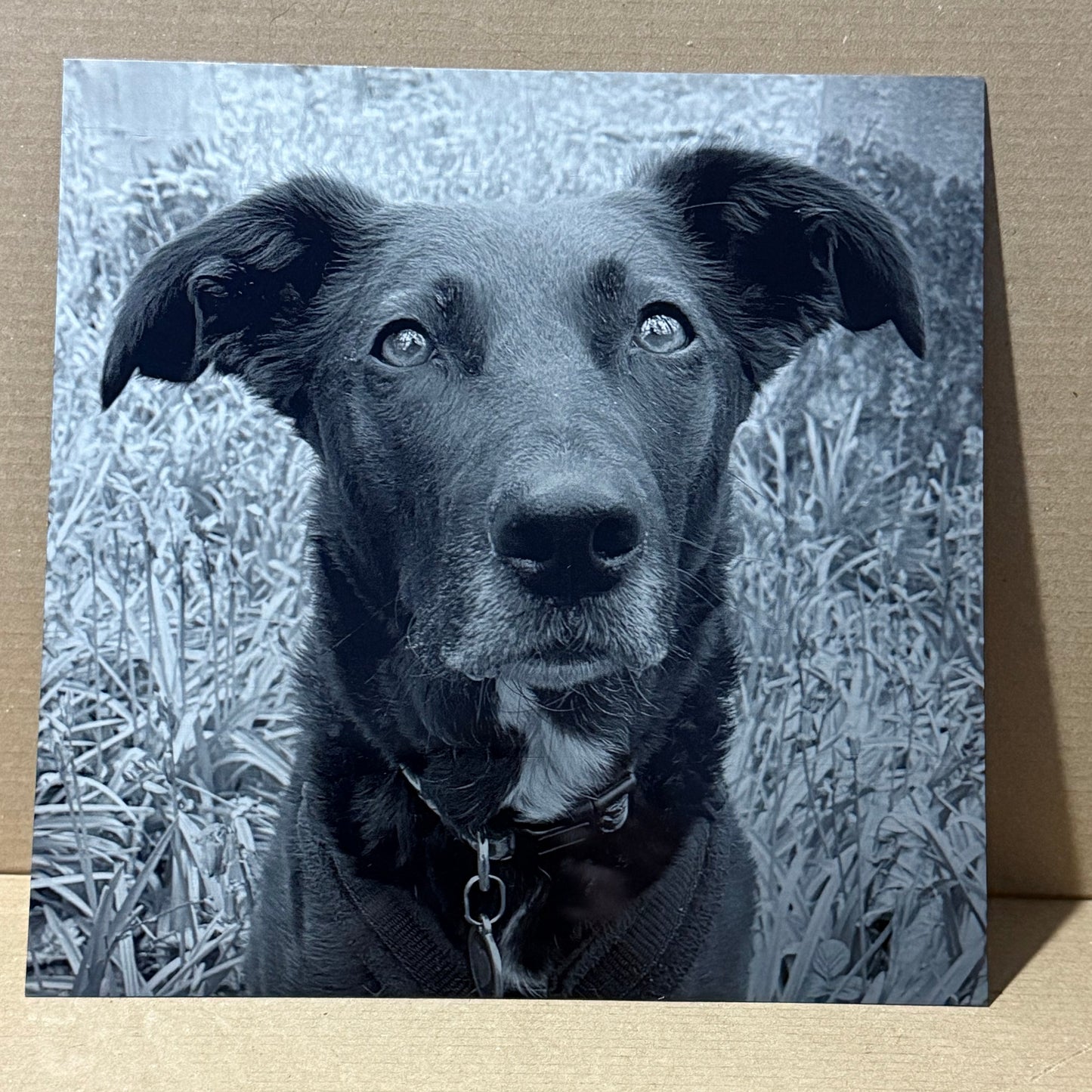 Personalised Laser Engraved Aluminium Plaques