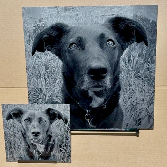 Personalised Laser Engraved Aluminium Plaques