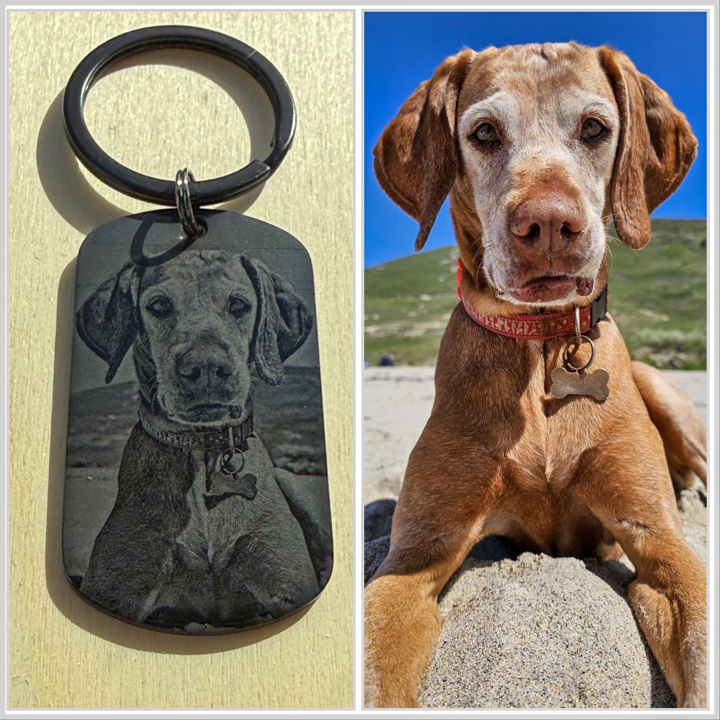 Military Style Key Ring
